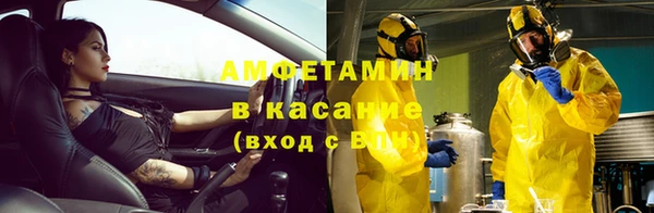 тгк Дмитриев