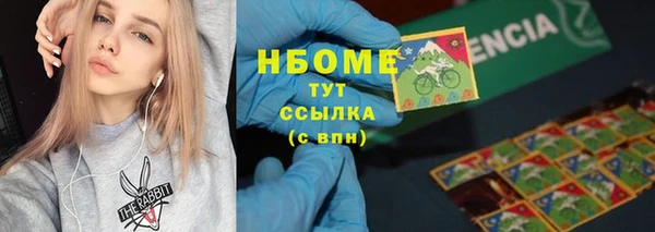 тгк Дмитриев