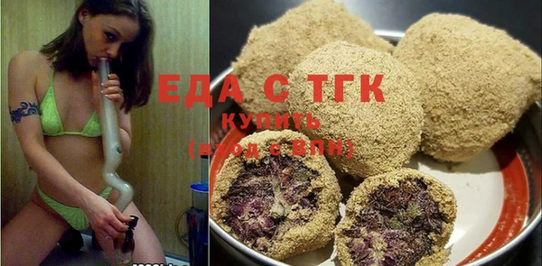 тгк Дмитриев