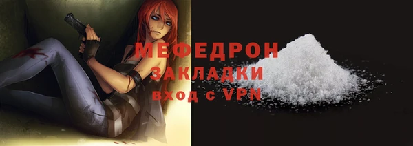 тгк Дмитриев