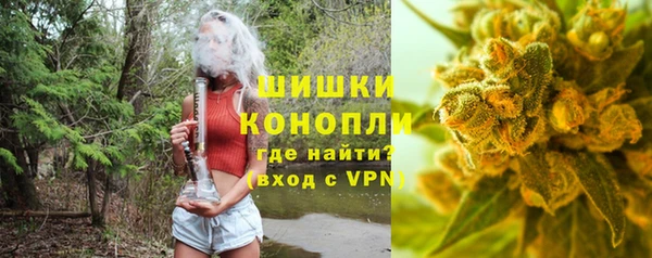 тгк Дмитриев