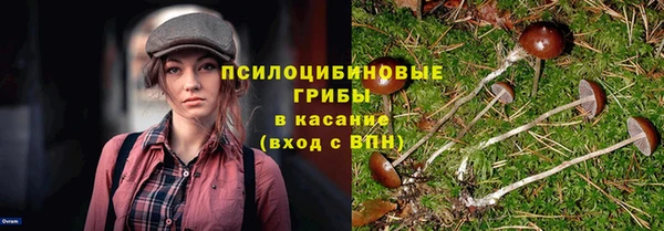 ПСИЛОЦИБИНОВЫЕ ГРИБЫ Дмитров