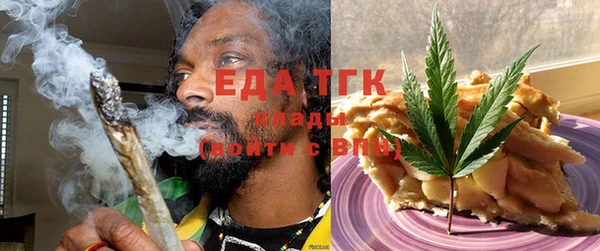 тгк Дмитриев