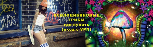ПСИЛОЦИБИНОВЫЕ ГРИБЫ Дмитров