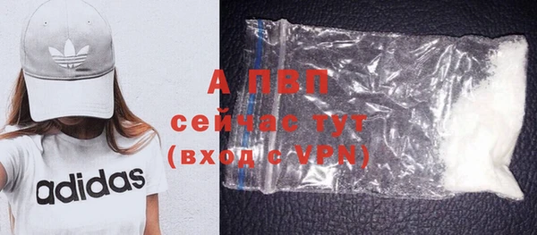 ПСИЛОЦИБИНОВЫЕ ГРИБЫ Дмитров