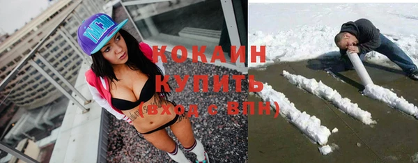ПСИЛОЦИБИНОВЫЕ ГРИБЫ Дмитров