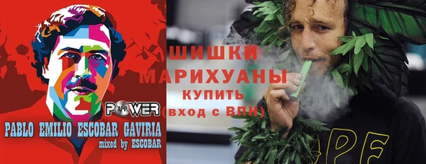 ПСИЛОЦИБИНОВЫЕ ГРИБЫ Дмитров