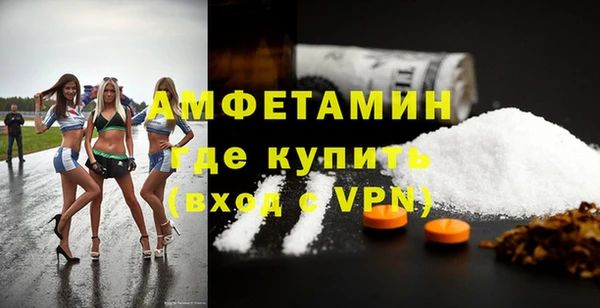 тгк Дмитриев