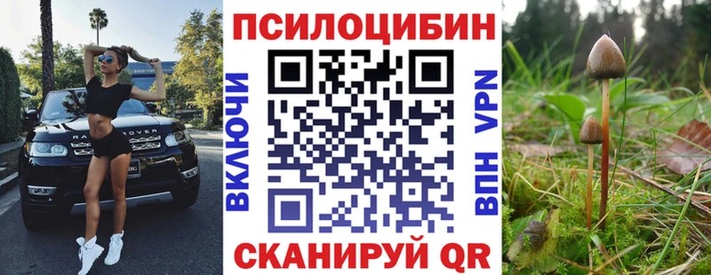 Псилоцибиновые грибы Psilocybe  магазин    Серпухов 